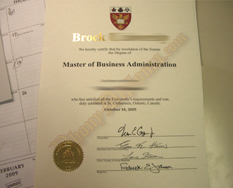 International Canada Fake Diploma with Raised and Custom Foil